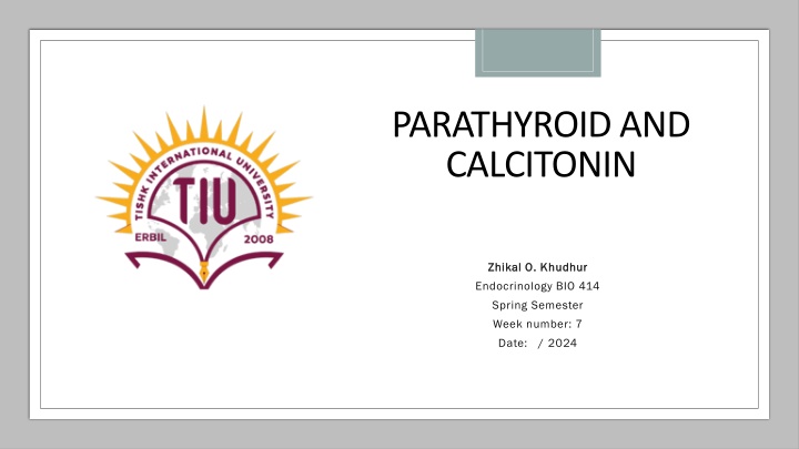 parathyroid and calcitonin