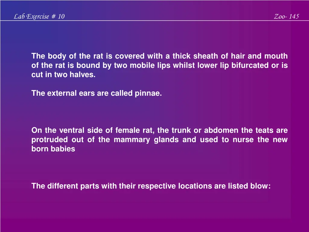 lab exercise 10 2