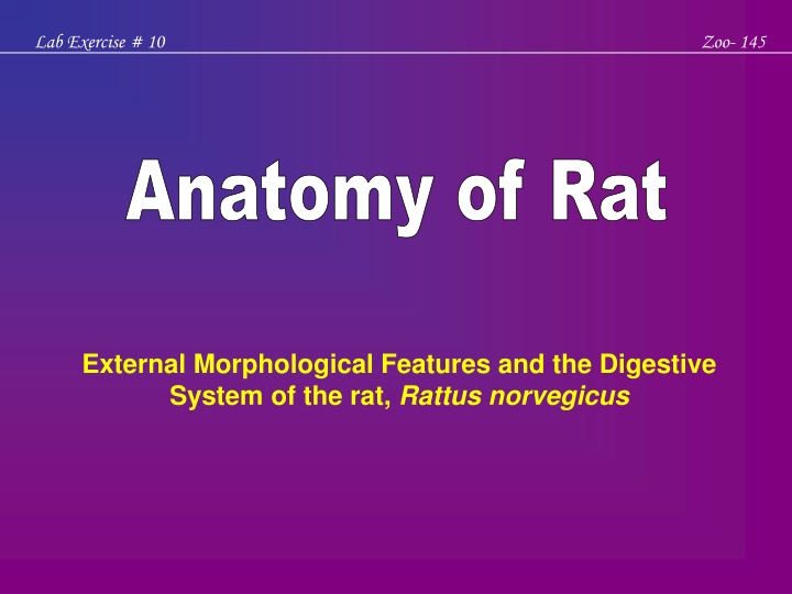 lab exercise 10