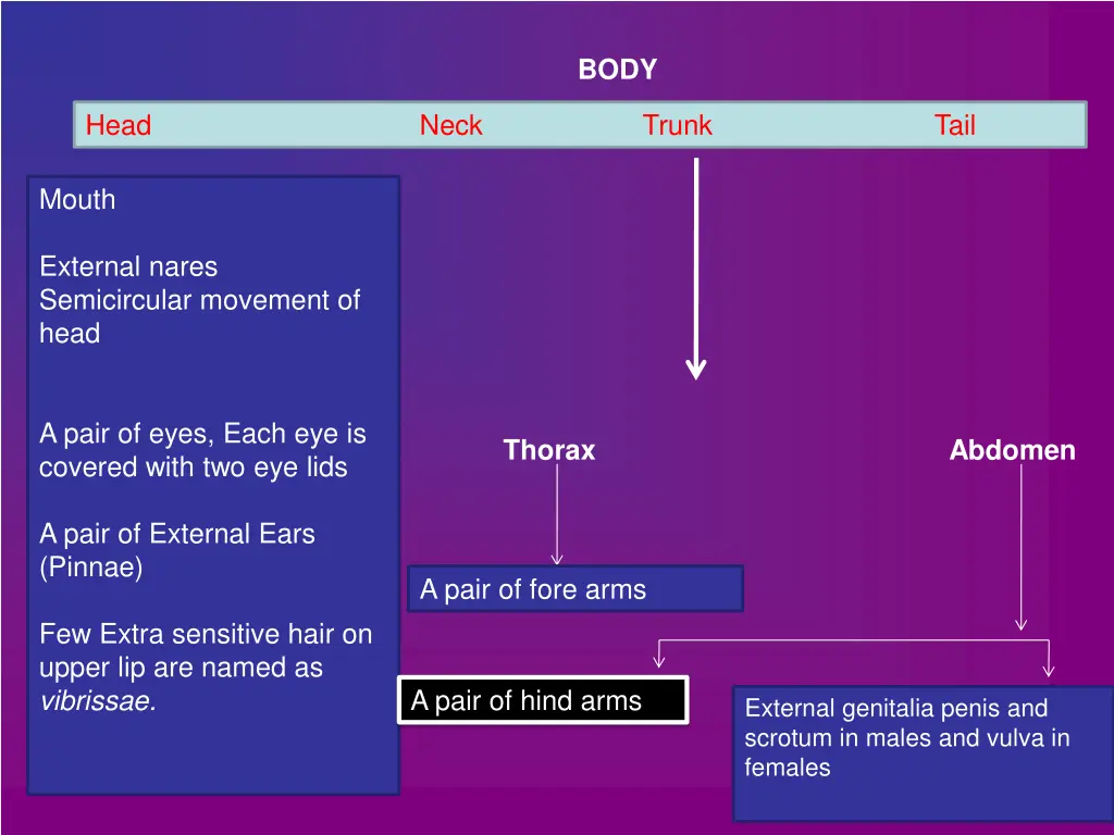 slide3