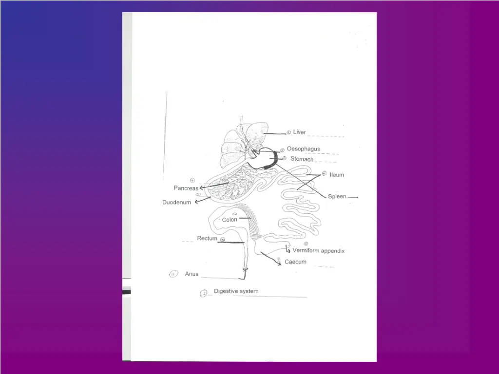 slide7