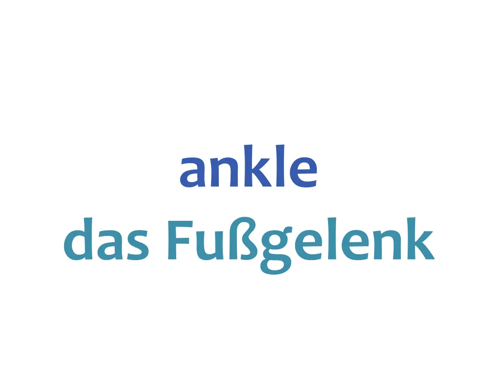 ankle