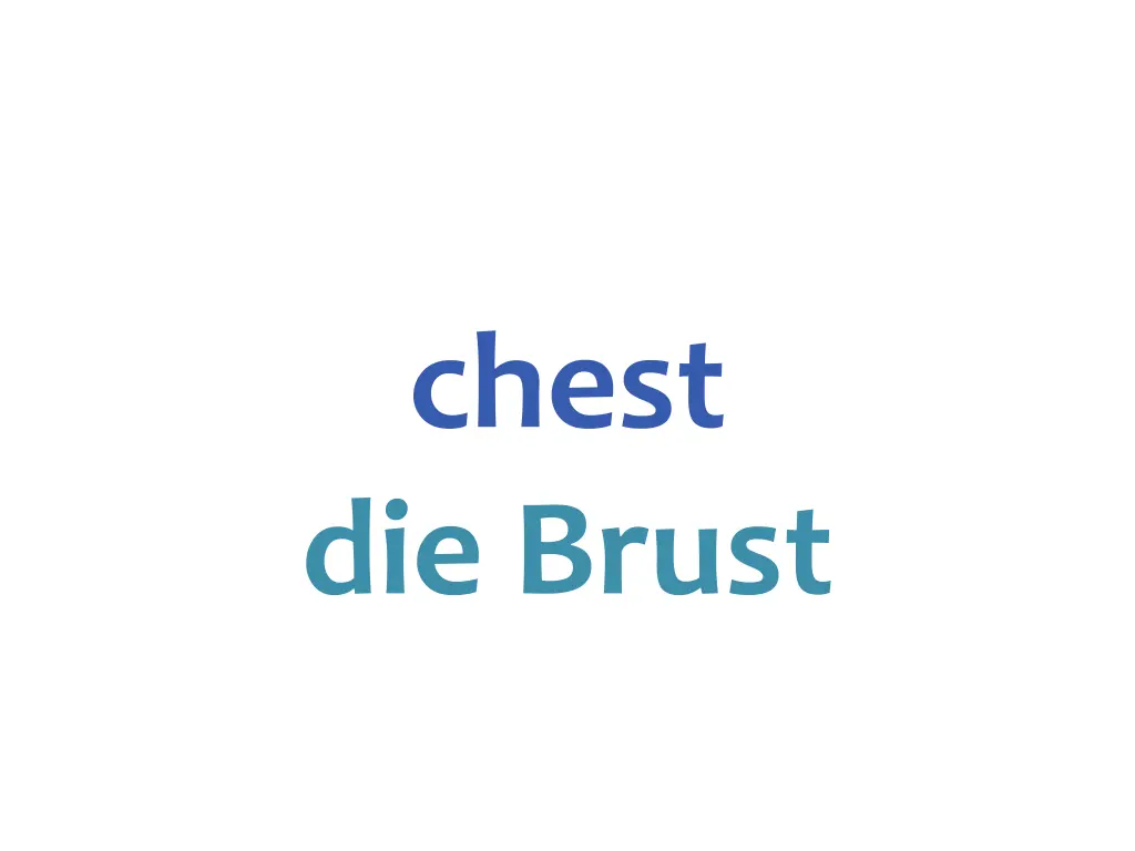 chest die brust