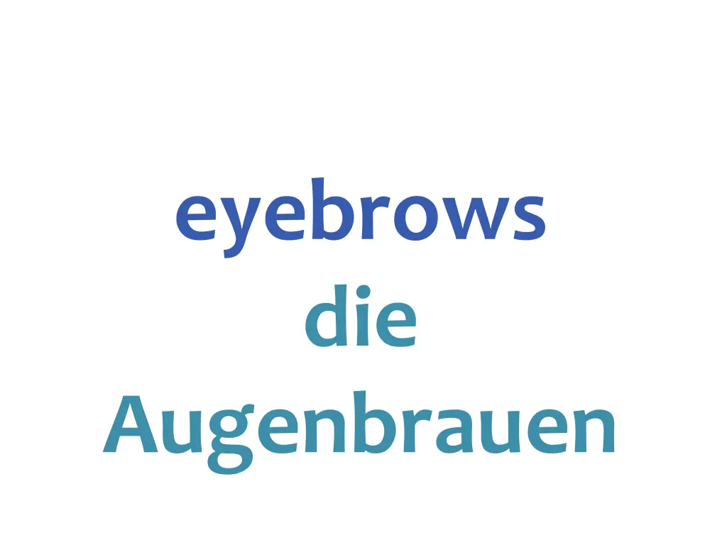 eyebrows die augenbrauen