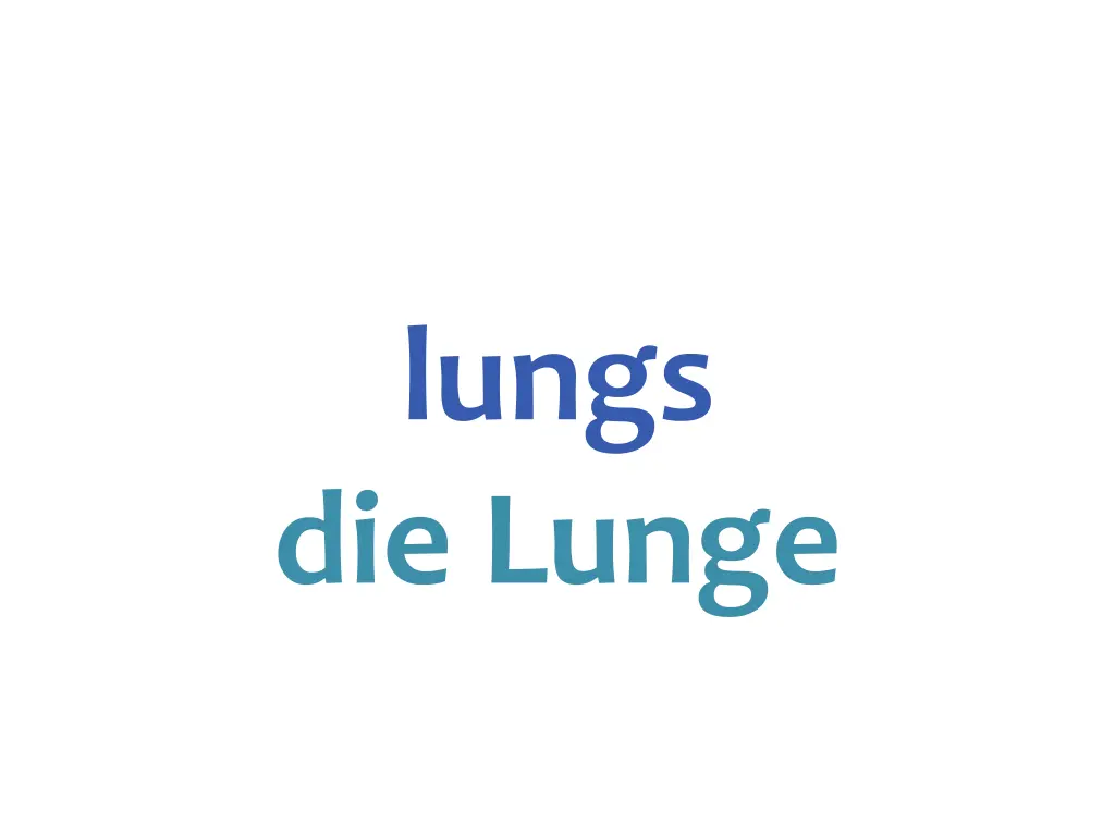 lungs die lunge