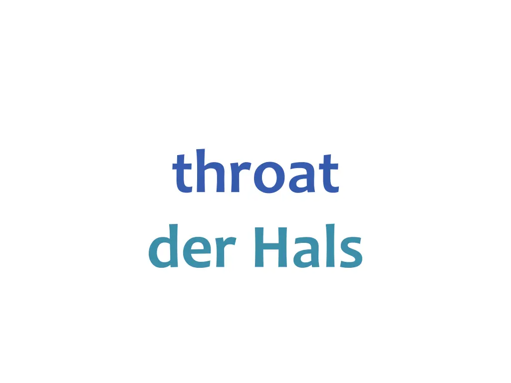 throat der hals