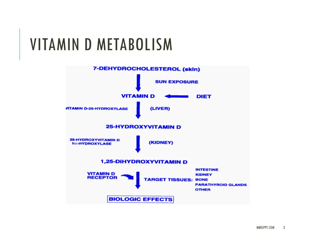vitamin d metabolism