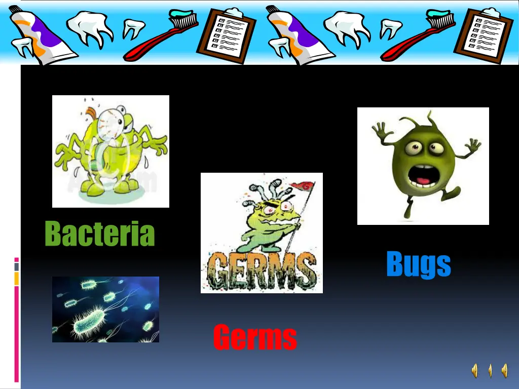 bacteria