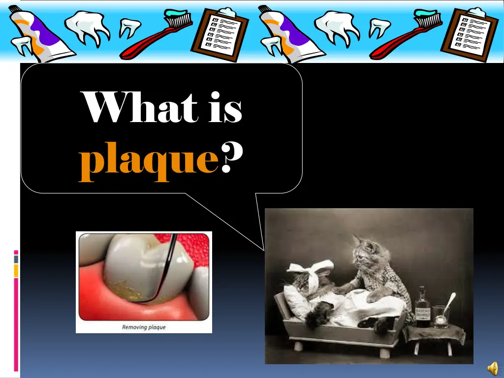 what is plaque