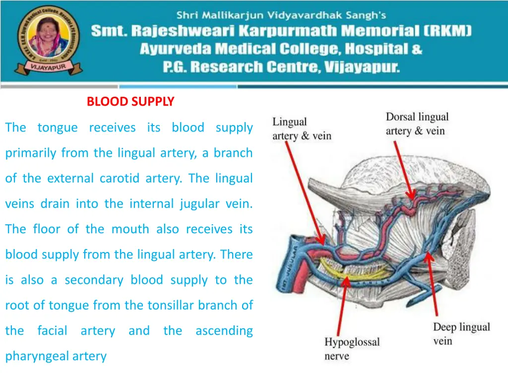 blood supply
