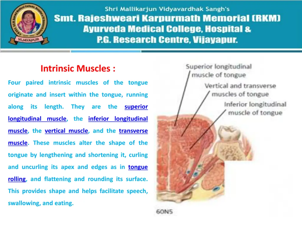 intrinsic muscles