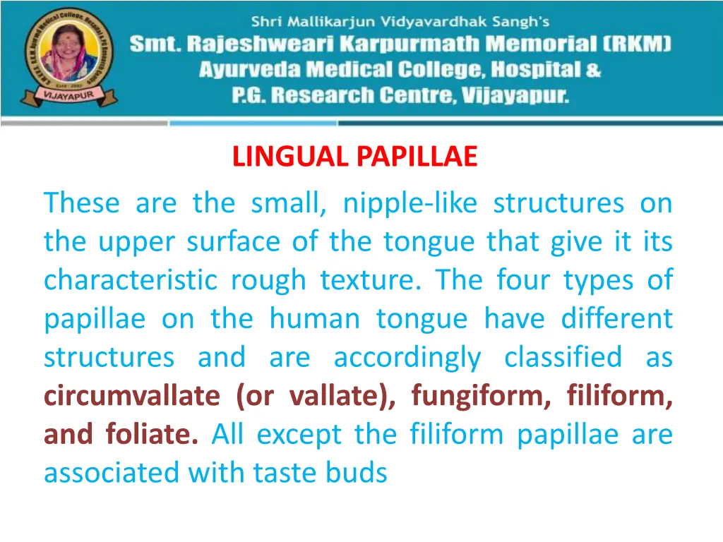 lingual papillae
