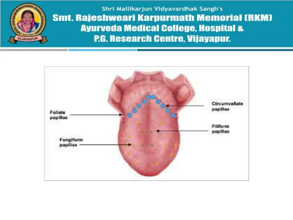 slide16