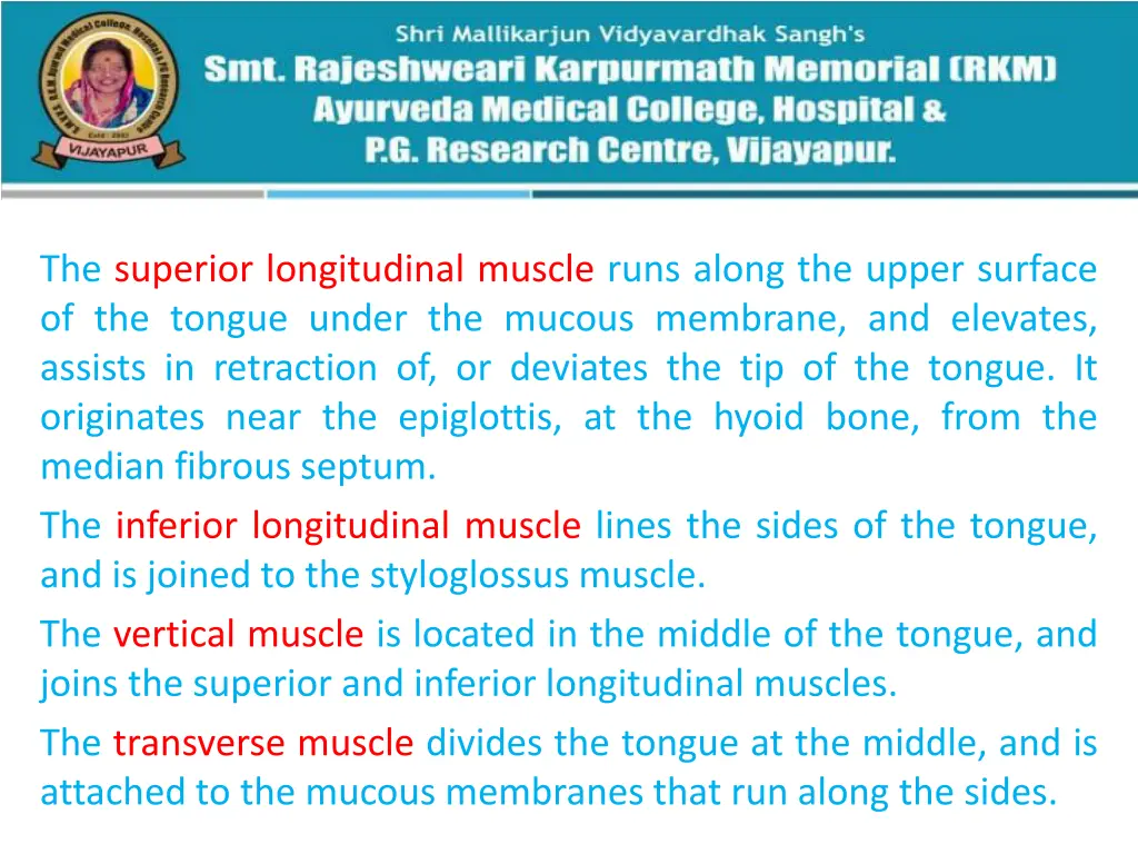 the superior longitudinal muscle runs along