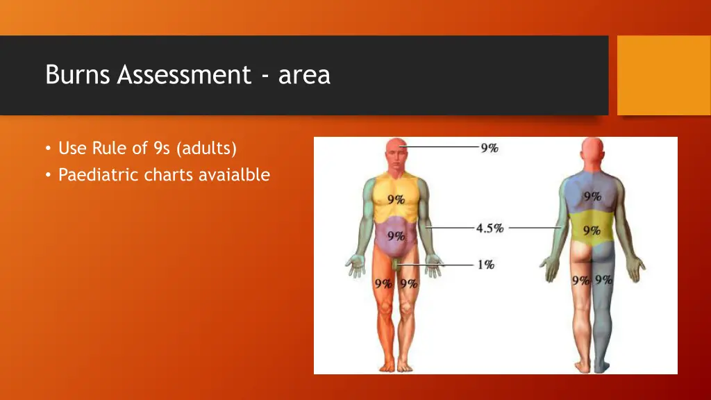 burns assessment area