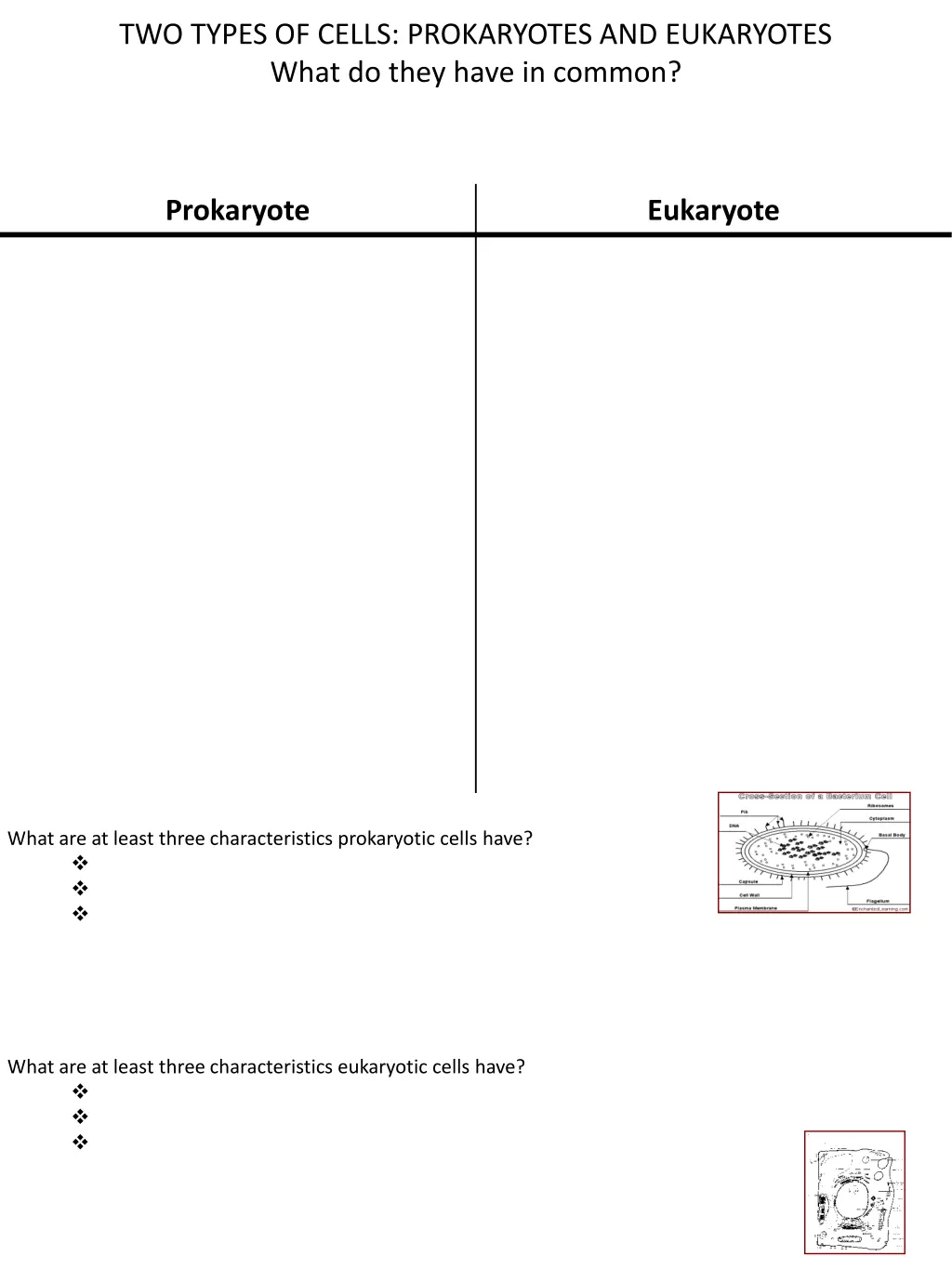two types of cells prokaryotes and eukaryotes