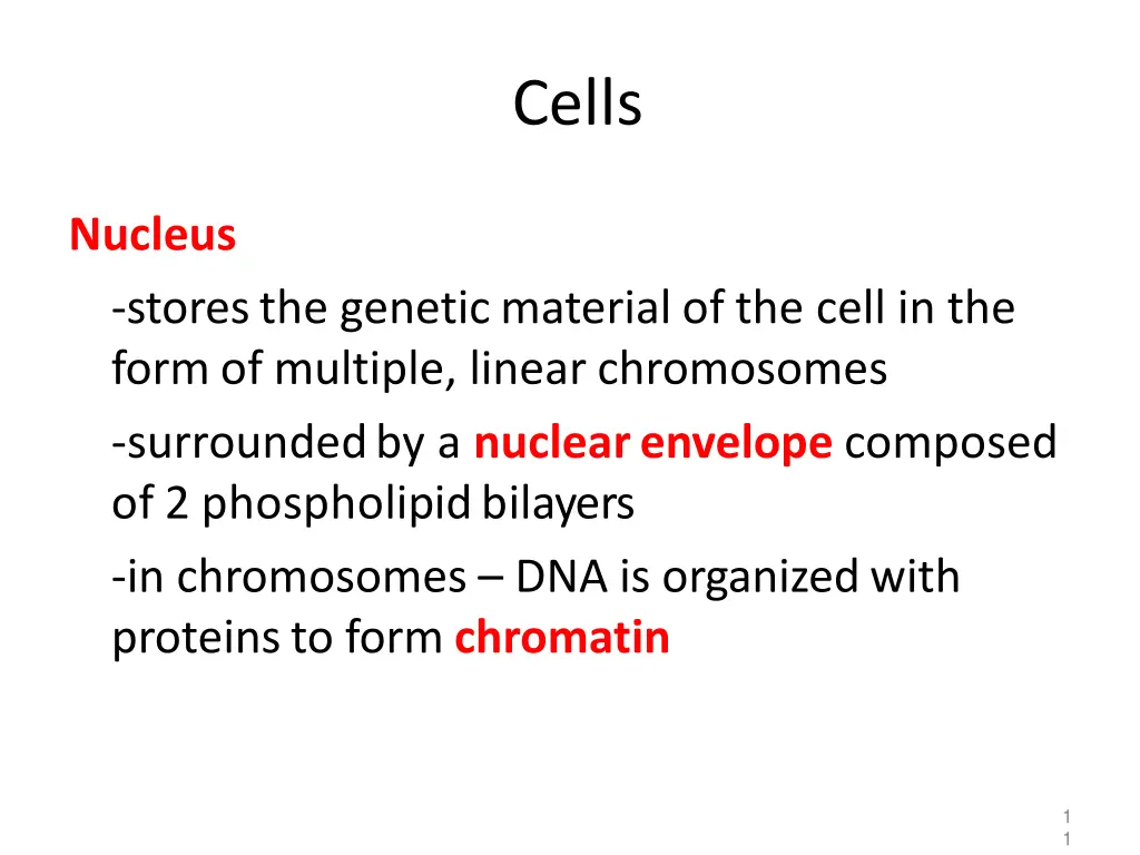 cells 1