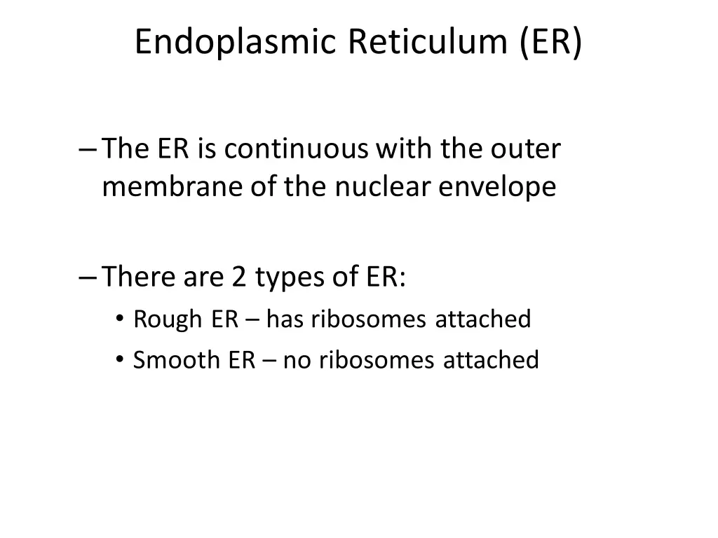 endoplasmic reticulum er