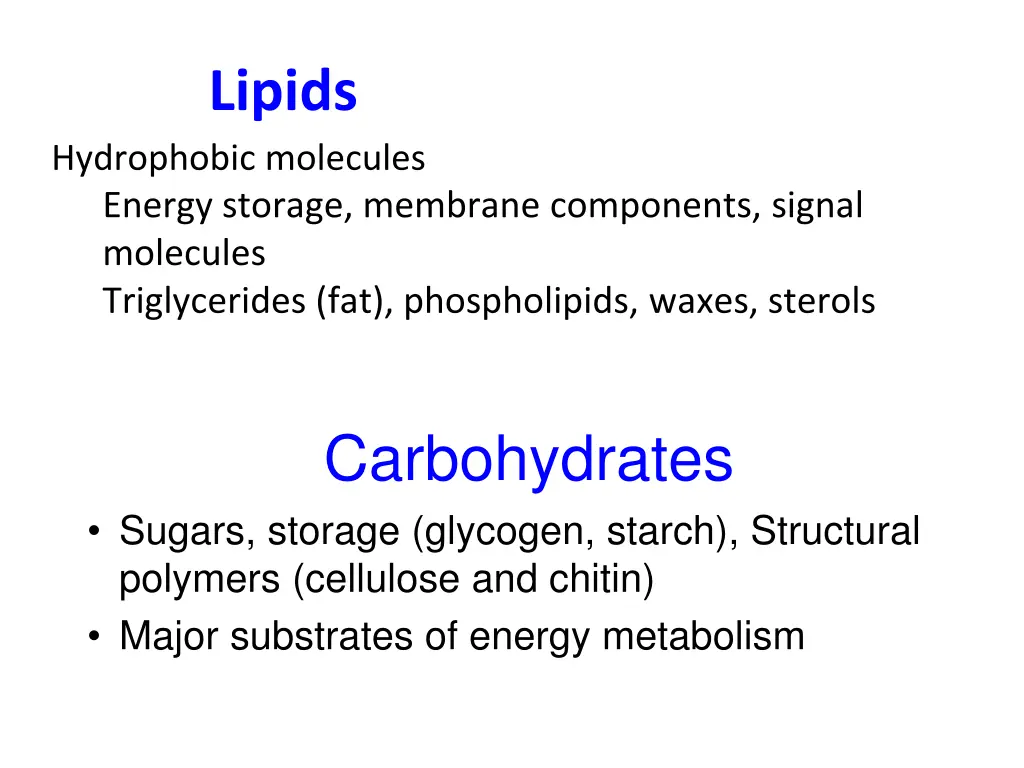 lipids