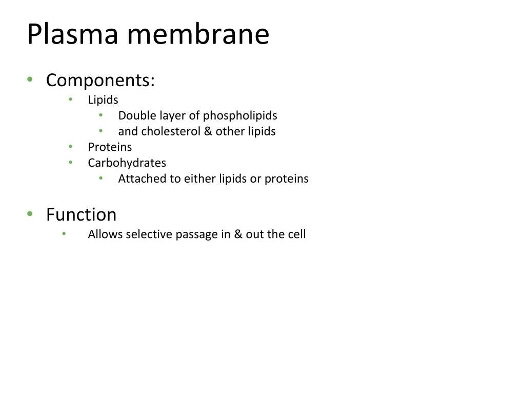 plasma membrane