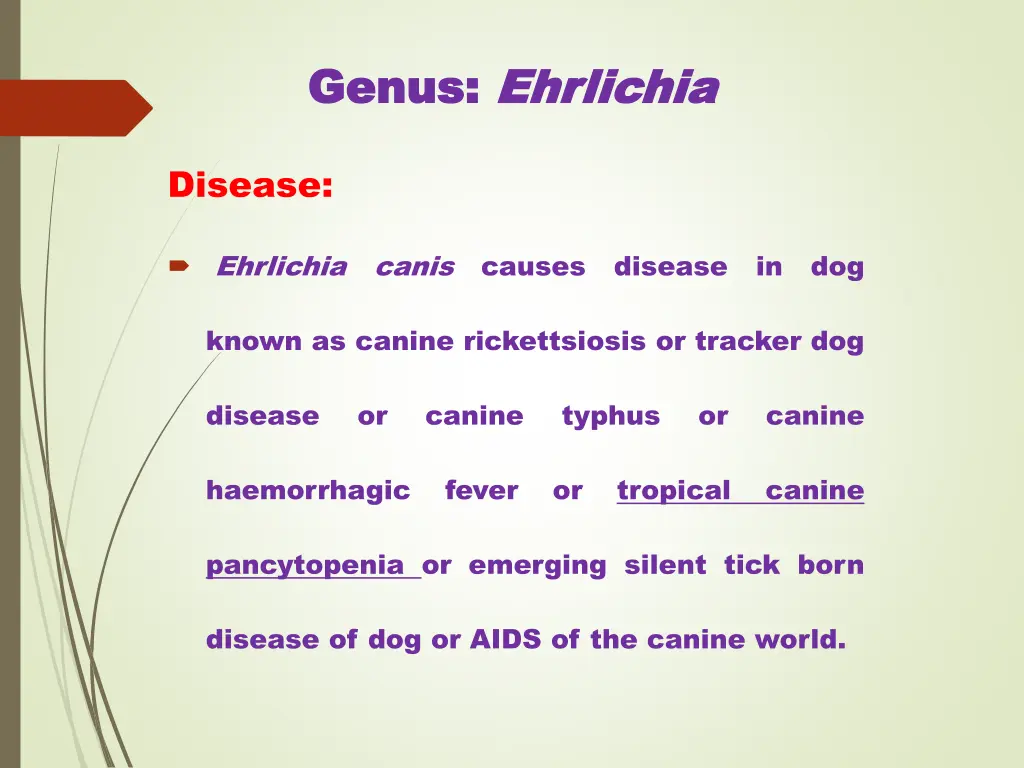genus genus ehrlichia ehrlichia 2
