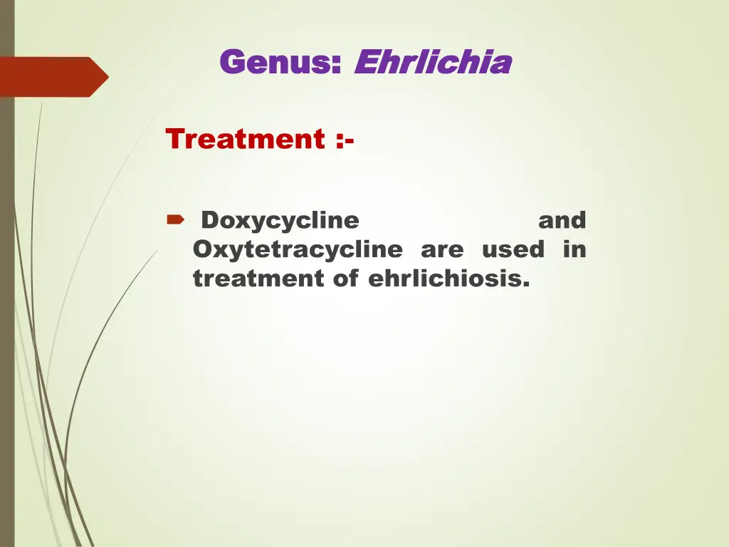 genus genus ehrlichia ehrlichia 4