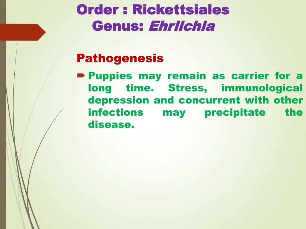 order order rickettsiales rickettsiales genus 2