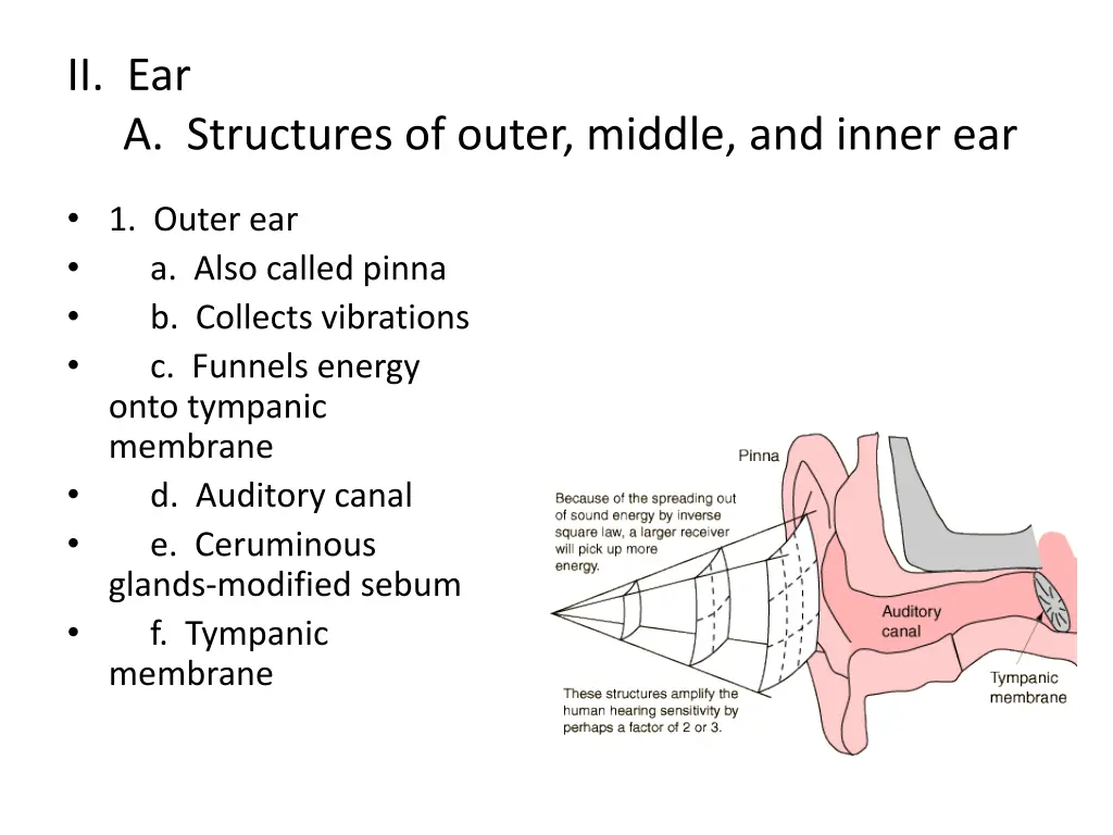 ii ear a structures of outer middle and inner ear