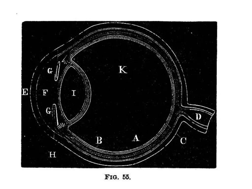 slide8