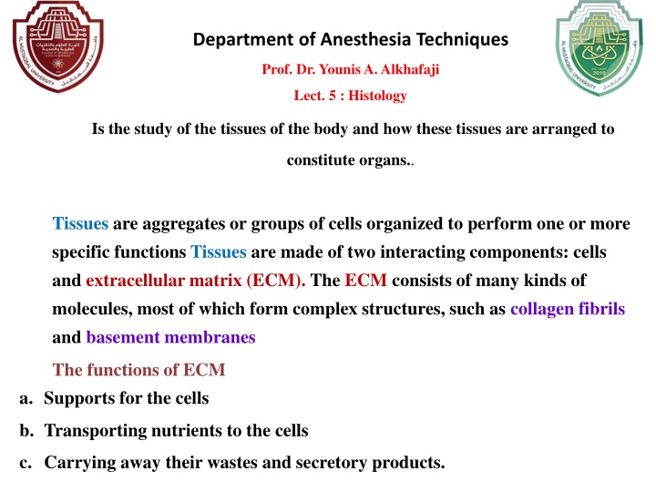 department of anesthesia techniques