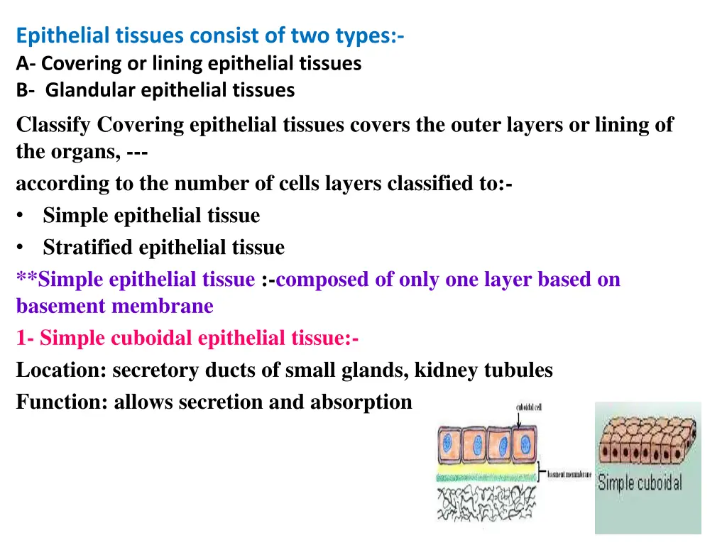 epithelial tissues consist of two types