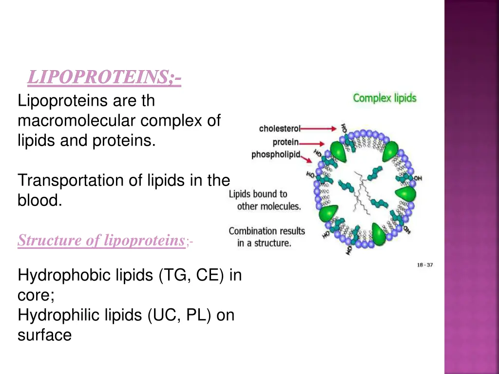 lipoproteins lipoproteins are th macromolecular