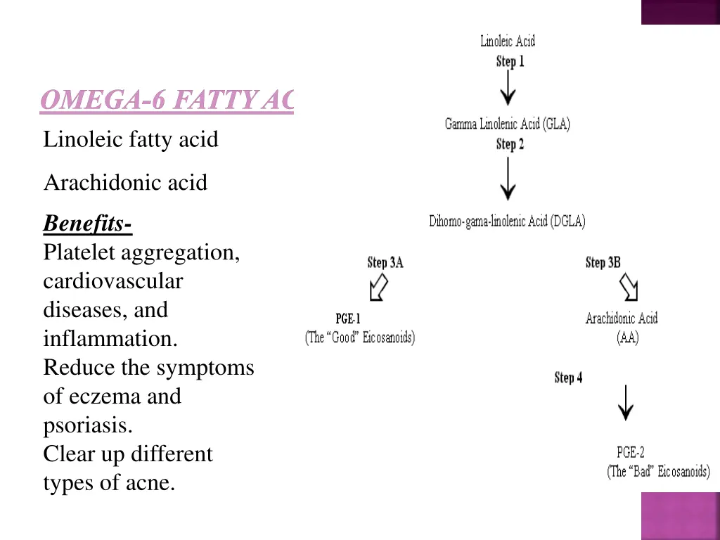 omega 6 fatty acids linoleic fatty acid