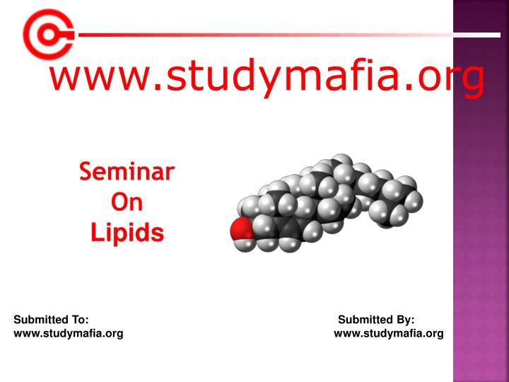 www studymafia org
