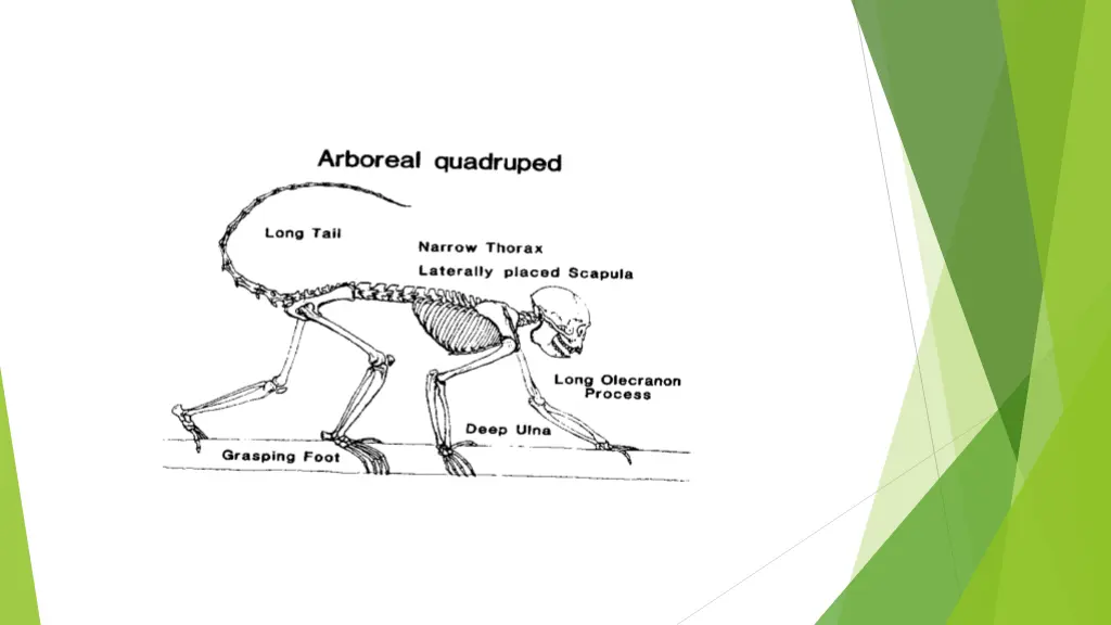 slide17