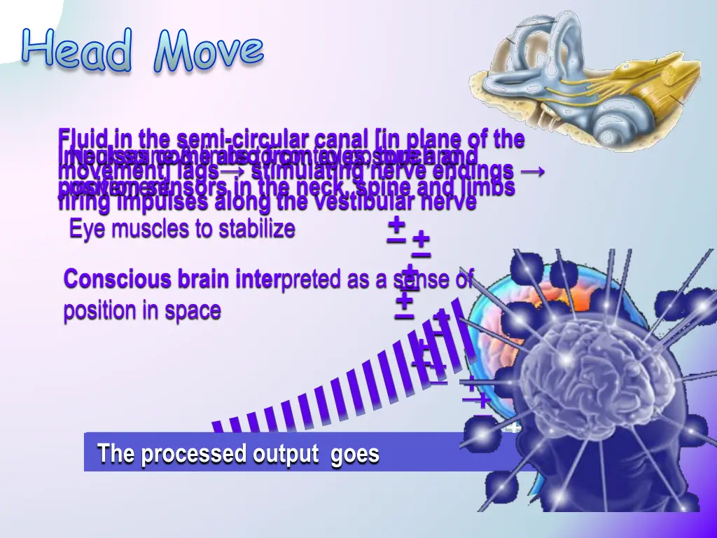 head move