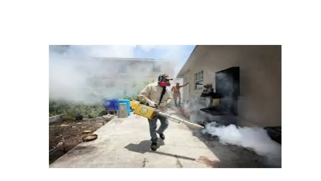 slide11
