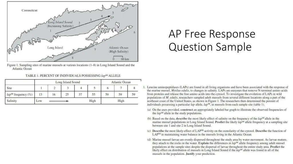 ap free response question sample