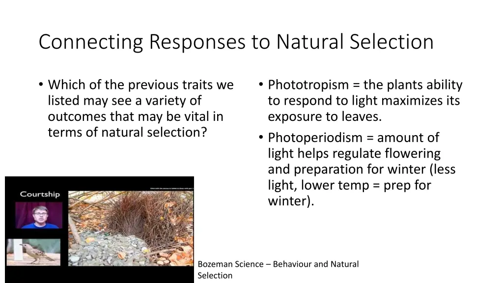 connecting responses to natural selection