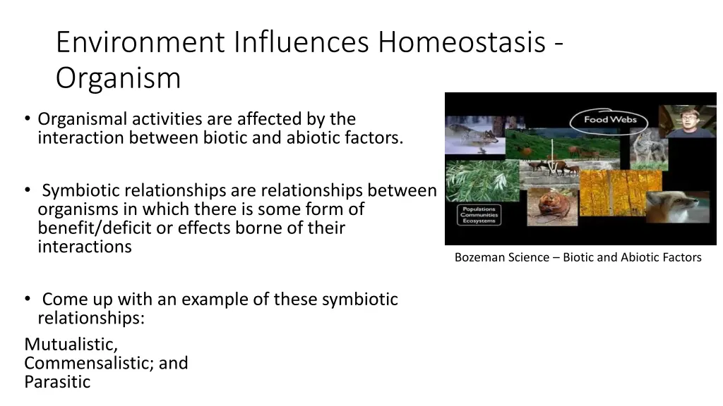 environment influences homeostasis organism