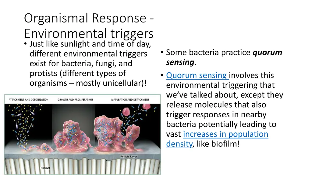 organismal response environmental triggers just
