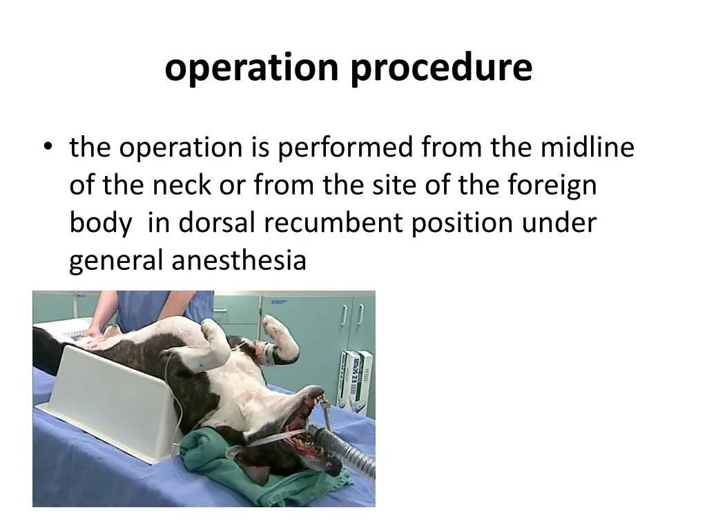operation procedure