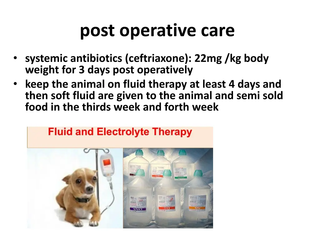 post operative care