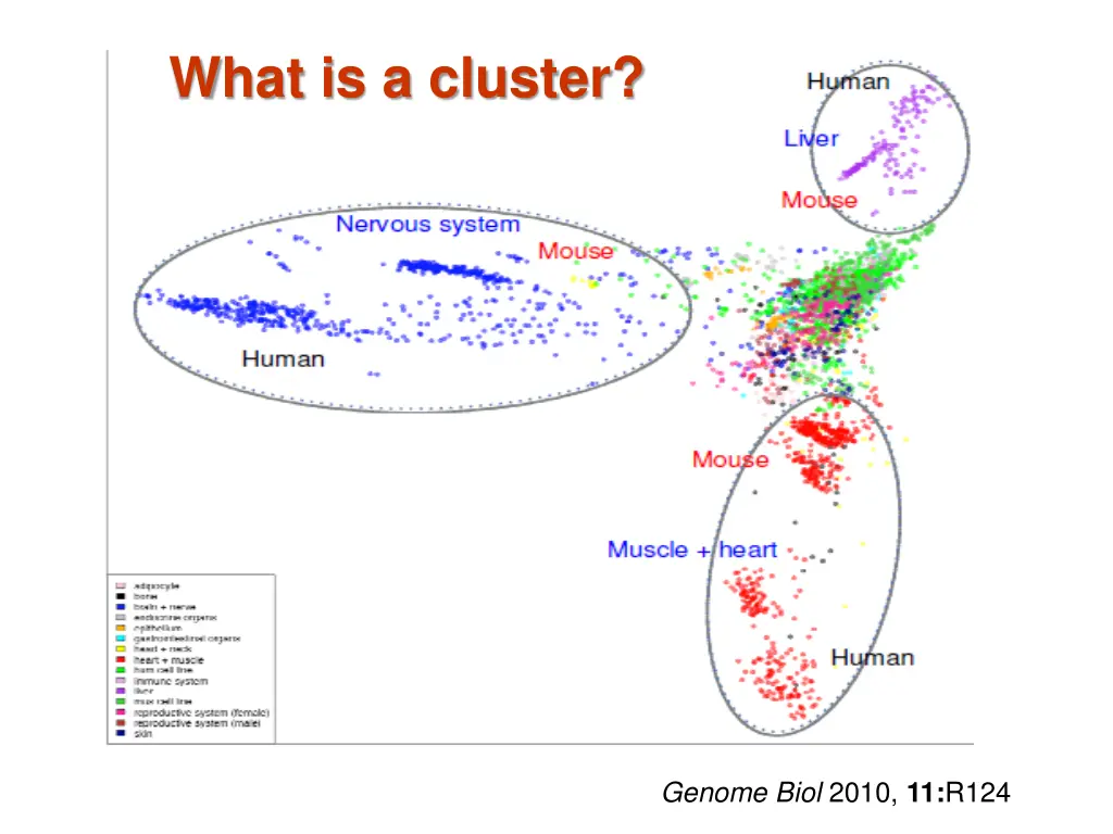 what is a cluster 1