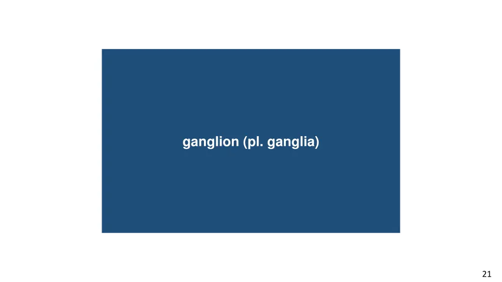 corticogeniculate pathway ganglion pl ganglia