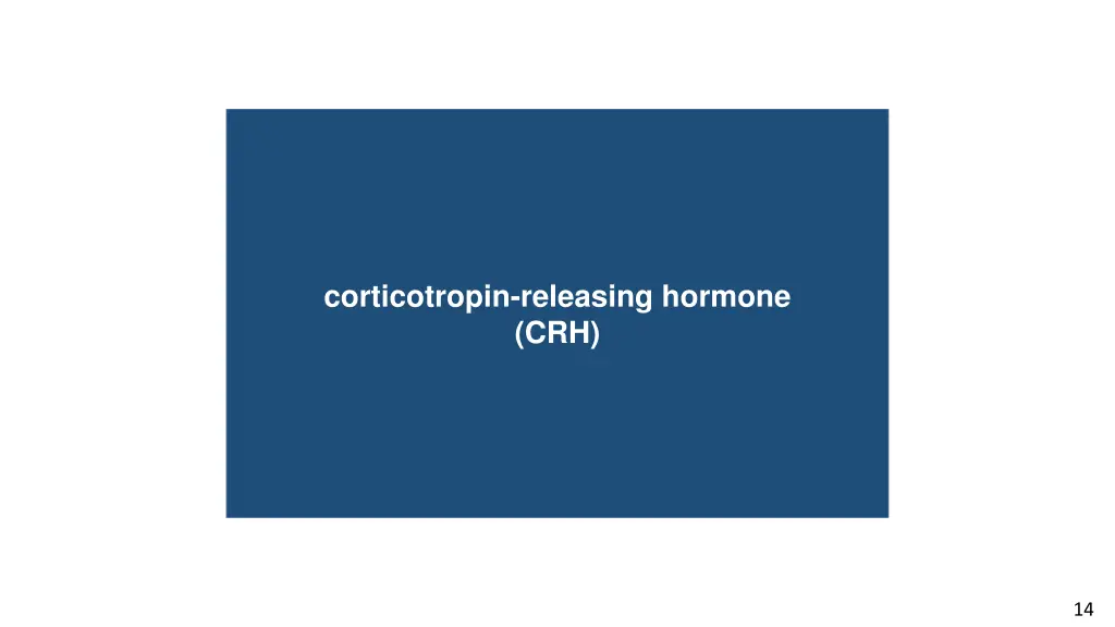 corticotropin releasing hormone