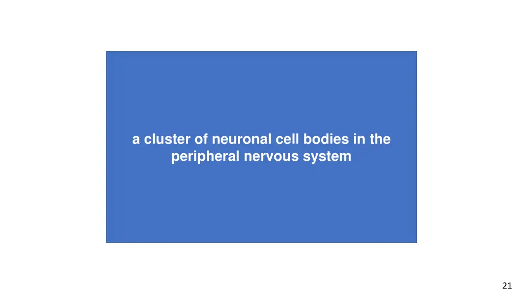 the neural pathway originating in layer