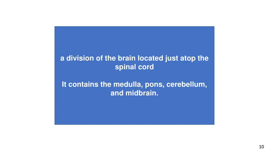 a division of the brain located just atop