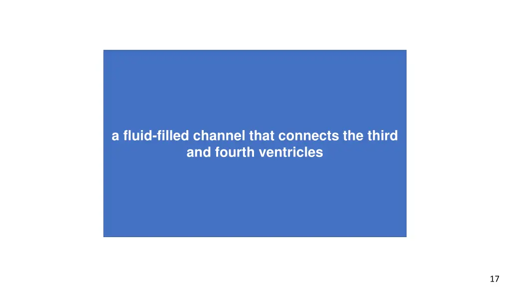 a fluid filled channel that connects the third