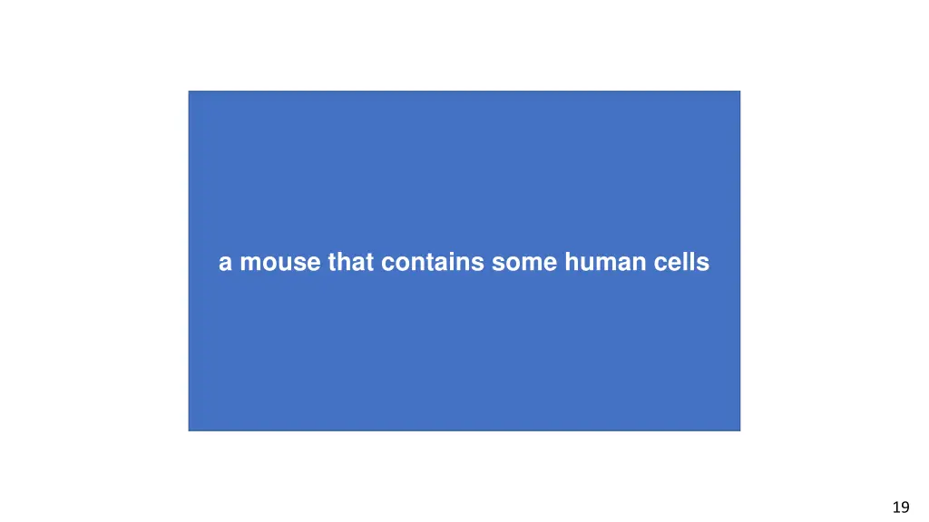 a mouse that contains some human cells
